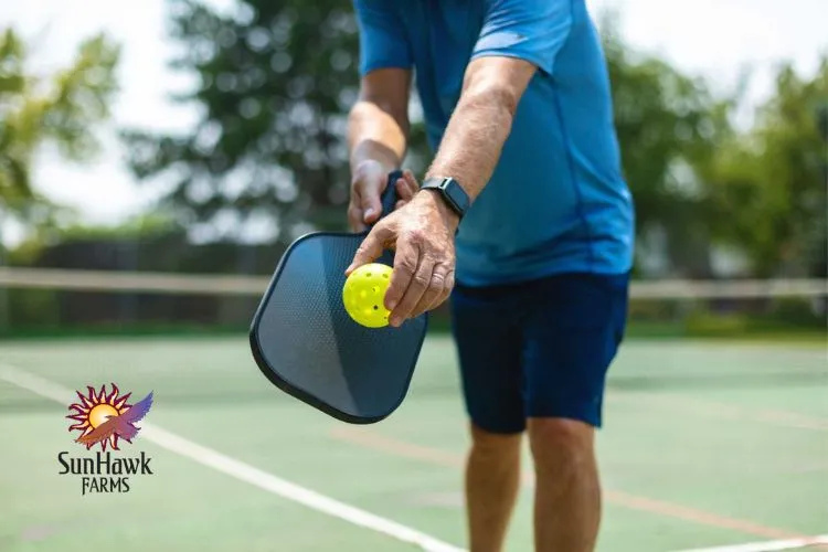 SunHawk Pickleball Camp