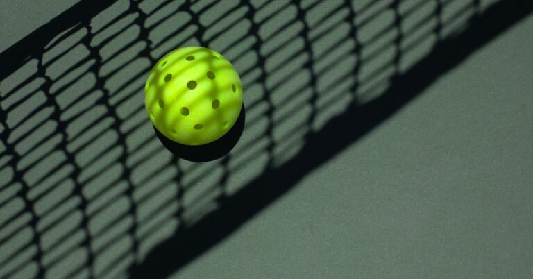 Pleasant Valley Park Pickleball Courts Will be Closed in June